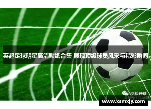 英超足球明星高清贴纸合集 展现顶级球员风采与精彩瞬间