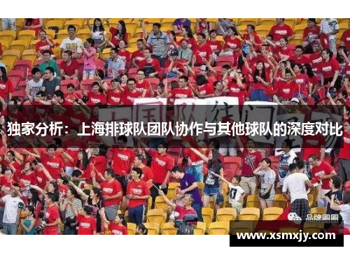 独家分析：上海排球队团队协作与其他球队的深度对比