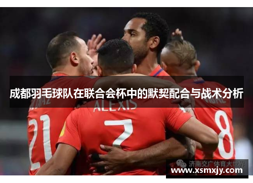 成都羽毛球队在联合会杯中的默契配合与战术分析