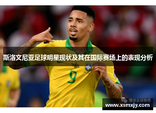 斯洛文尼亚足球明星现状及其在国际赛场上的表现分析