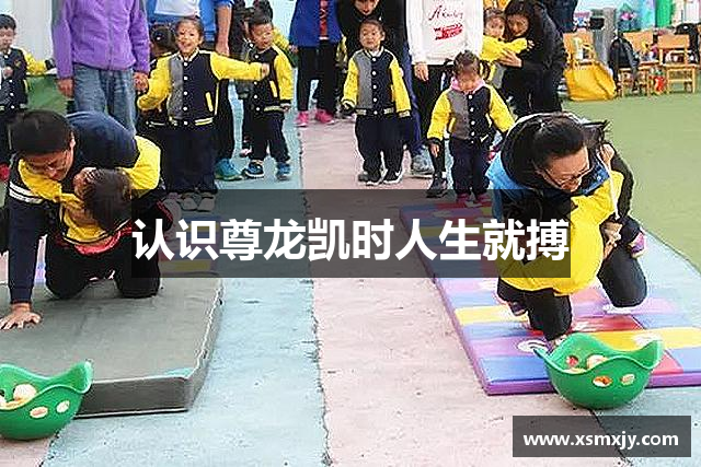 认识尊龙凯时人生就搏
